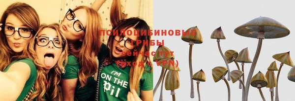 хмурый Зеленодольск