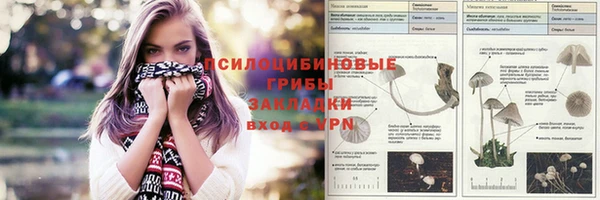 хмурый Зеленодольск