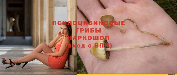 амф Зеленокумск