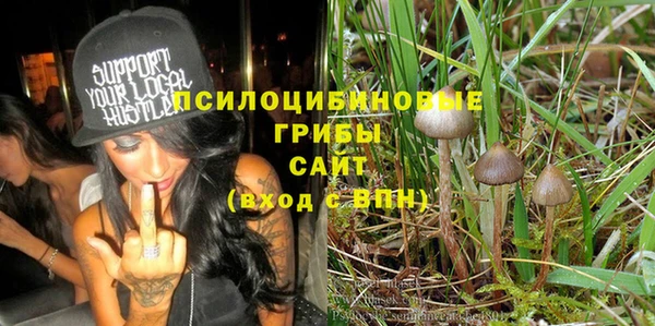 амф Зеленокумск