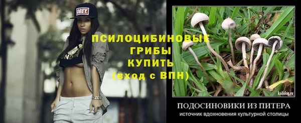 амф Зеленокумск