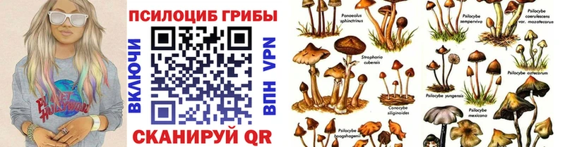 Купить закладки  Собинка  Псилоцибиновые грибы Magic Shrooms 